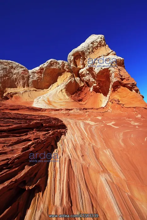 : White Pocket Canyon, Coyote Buttes Nord. Vermillion : White Pocket Canyon, Coyote Buttes Nord. Vermillion