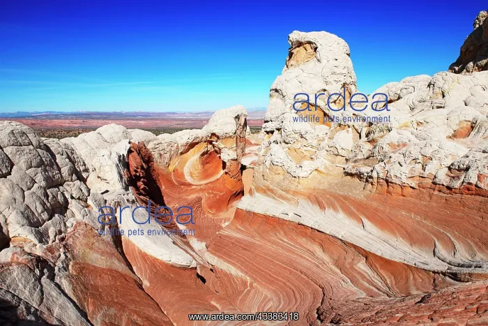 : White Pocket Canyon, Coyote Buttes Nord. Vermillion : White Pocket Canyon, Coyote Buttes Nord. Vermillion