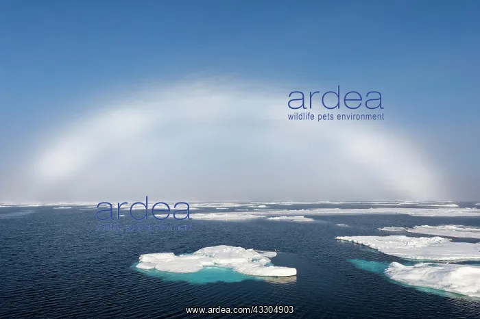 : White rainbow over pack ice, Arctic Ocean, Spitsbergen : White rainbow over pack ice, Arctic Ocean, Spitsbergen
