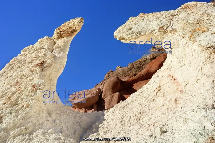 : White Rock - formation created by erosion in Atuel Canyon : White Rock - formation created by erosion in Atuel Canyon