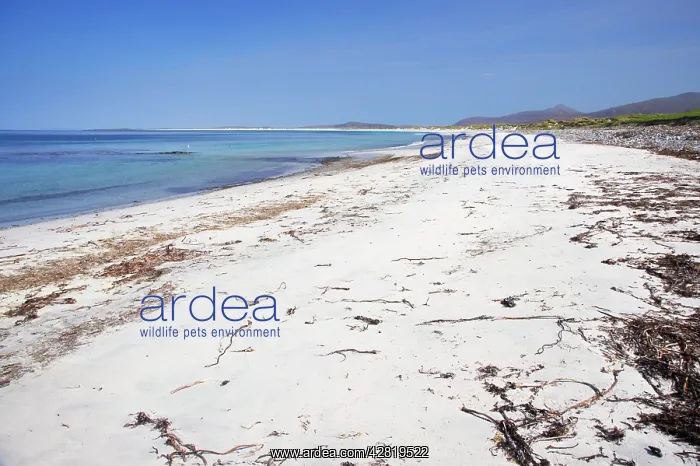 : White Sand Beach : White Sand Beach