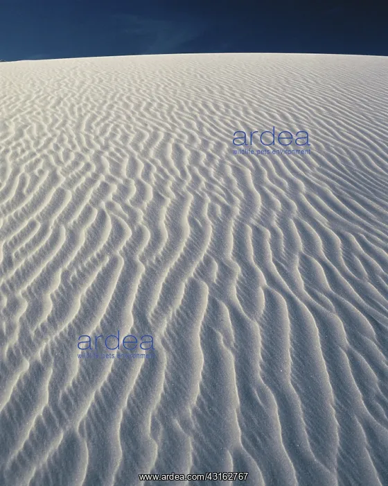 : White Sands Sand Ripples : White Sands Sand Ripples