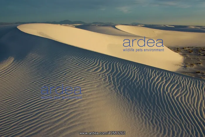 : White Sands in the Tularosa Basi : White Sands in the Tularosa Basi