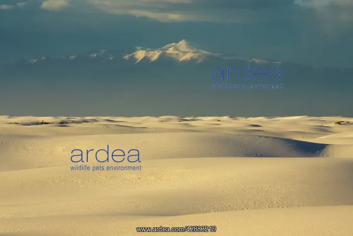 : White Sands in the Tularosa Basin : White Sands in the Tularosa Basin