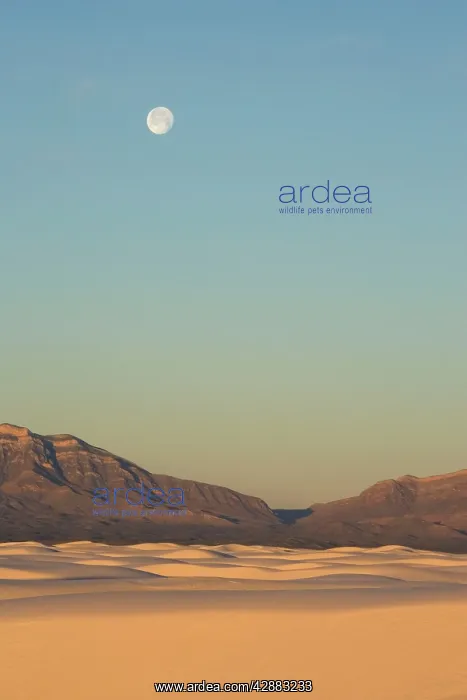 : White Sands in the Tularosa Basin : White Sands in the Tularosa Basin