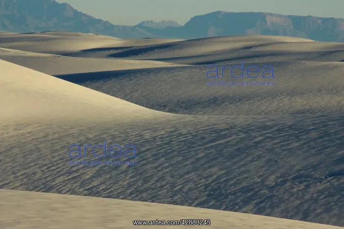 : White Sands in the Tularosa Basin : White Sands in the Tularosa Basin