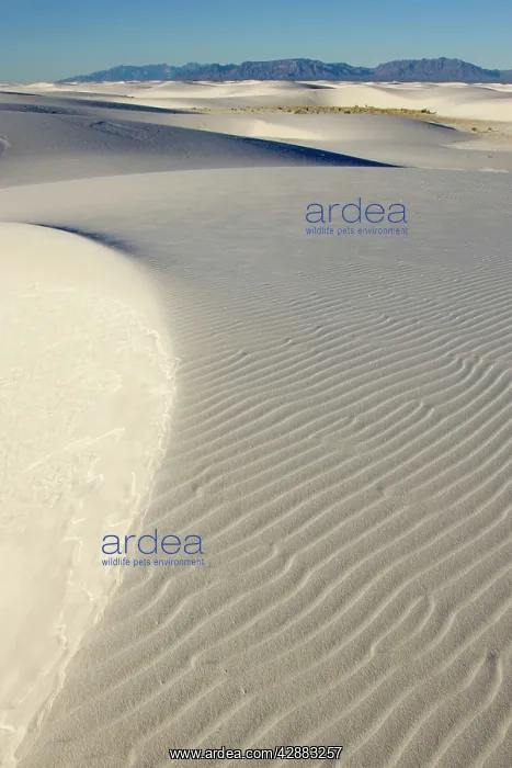 : White Sands in the Tularosa Basin : White Sands in the Tularosa Basin