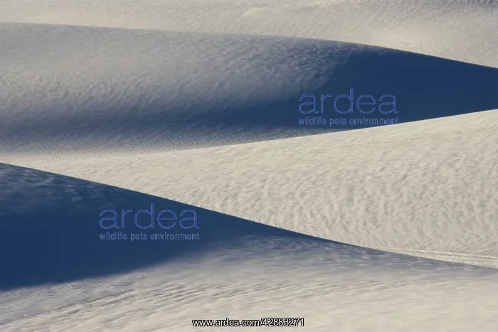 : White Sands in the Tularosa Basin : White Sands in the Tularosa Basin