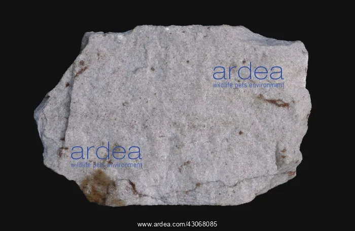 : White Sandstone : White Sandstone