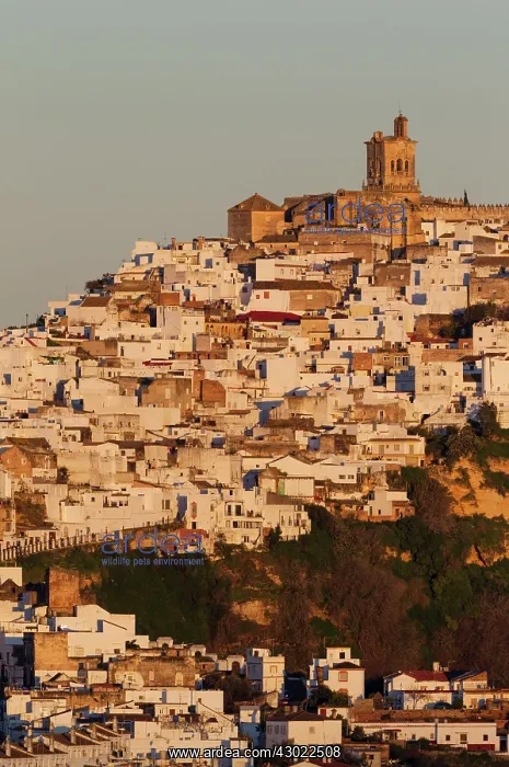 : The White Town of Arcos de la Frontera : The White Town of Arcos de la Frontera