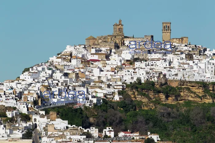 : The White Town of Arcos de la Frontera - on a limestone rock : The White Town of Arcos de la Frontera - on a limestone rock