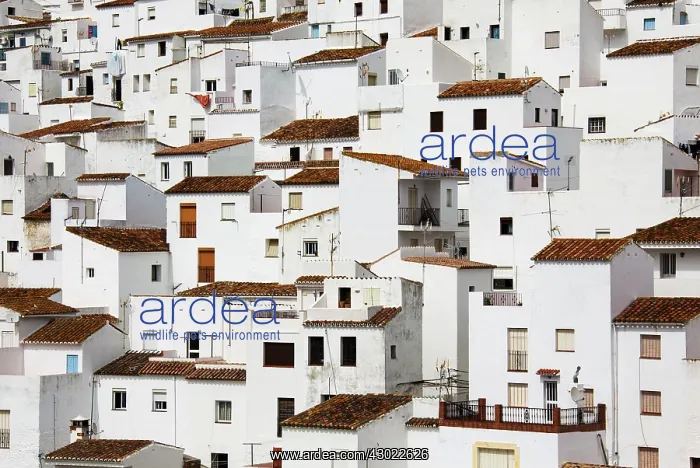 : The White Town of Casares - clings to a steep hillside : The White Town of Casares - clings to a steep hillside