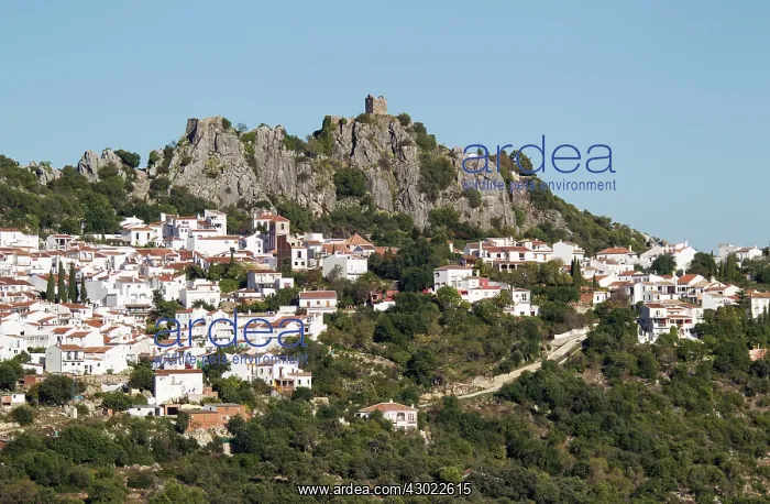 : The White Town of Gaucin - below a Moorish fort : The White Town of Gaucin - below a Moorish fort