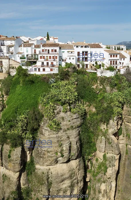 : The White Town of Ronda high above the river gorge El Ta : The White Town of Ronda high above the river gorge El Ta