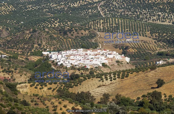 : The White Town of Torre Alhaquime : The White Town of Torre Alhaquime