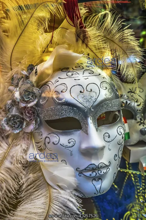 : White Venetian mask feathers, Venice, Italy. Used : White Venetian mask feathers, Venice, Italy. Used