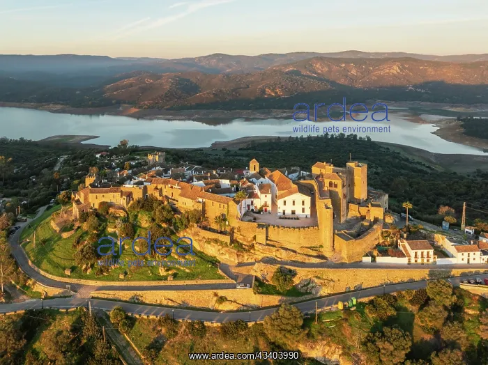 : The White Village of Castillo de Castellar is located : The White Village of Castillo de Castellar is located