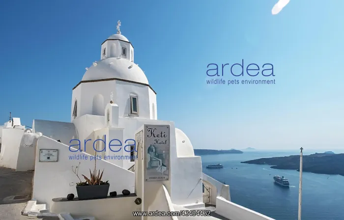 : White-washed Church of St Minas, Agios Minas, Fira : White-washed Church of St Minas, Agios Minas, Fira