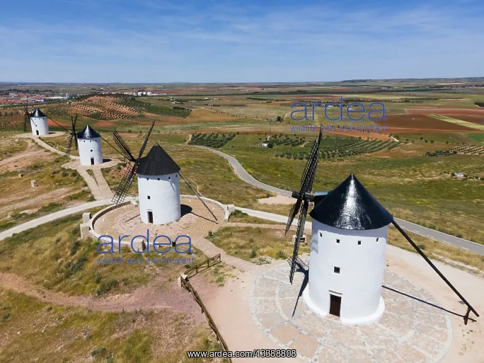 : Four white windmills with black roofs on a wide : Four white windmills with black roofs on a wide