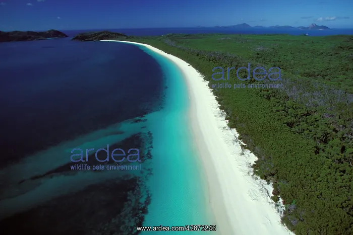 : Whitehaven Beach : Whitehaven Beach