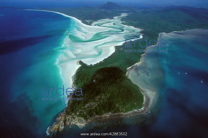 : Whitehaven Beach Whitsunday Group : Whitehaven Beach Whitsunday Group