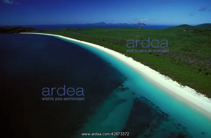 : Whitehaven Beach, Whitsunday Island Whitsunday Group : Whitehaven Beach, Whitsunday Island Whitsunday Group