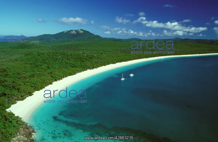 : Whitehaven Beach, Whitsunday Island Whitsunday Group : Whitehaven Beach, Whitsunday Island Whitsunday Group