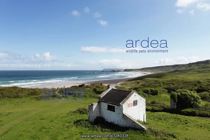 : Whitepark Bay or White Park Bay, former youth hostel : Whitepark Bay or White Park Bay, former youth hostel