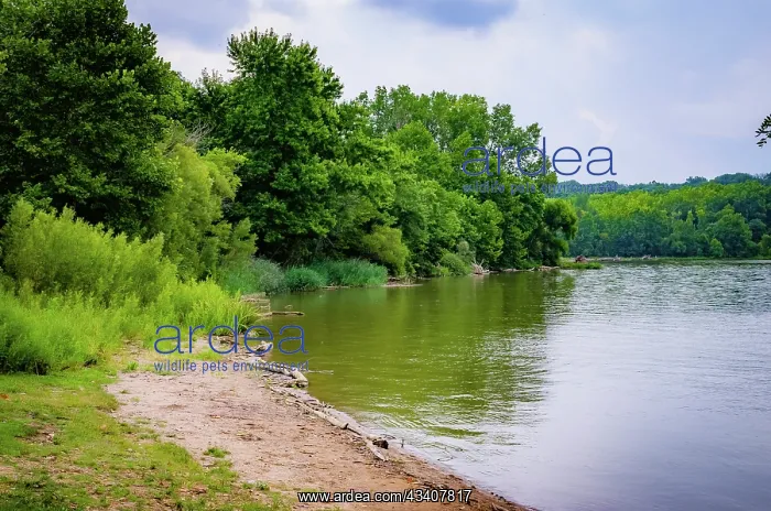 : Whitewater Lake, Whitewater Memorial State Park : Whitewater Lake, Whitewater Memorial State Park