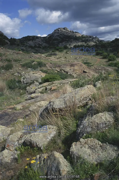 : Wichita Mountains : Wichita Mountains