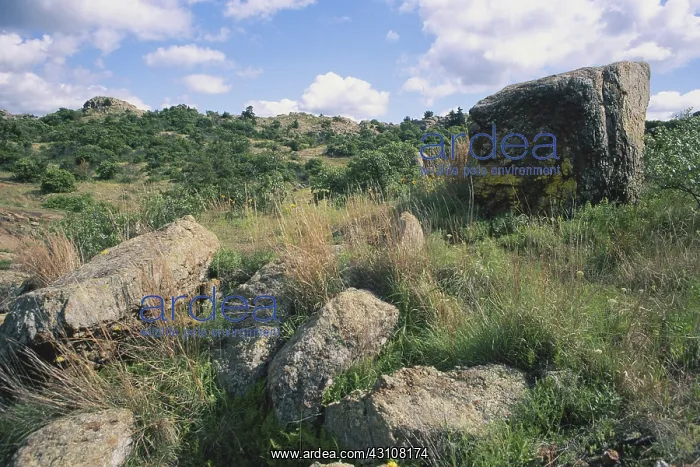 : Wichita Mountains : Wichita Mountains
