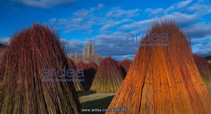: Wicker, Ruta del Mimbre, Cuenca, Castilla - La Mancha : Wicker, Ruta del Mimbre, Cuenca, Castilla - La Mancha