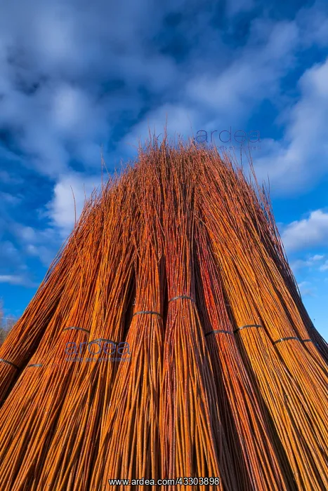 : Wicker, Ruta del Mimbre, Cuenca, Castilla - La Mancha : Wicker, Ruta del Mimbre, Cuenca, Castilla - La Mancha