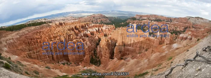 : Wide angle of a Bryce canyon national park, Utah, USA : Wide angle of a Bryce canyon national park, Utah, USA