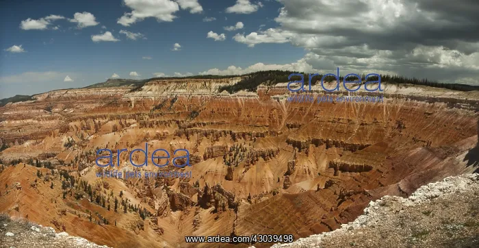 : Wide angle view of a Cedar breaks national monument : Wide angle view of a Cedar breaks national monument