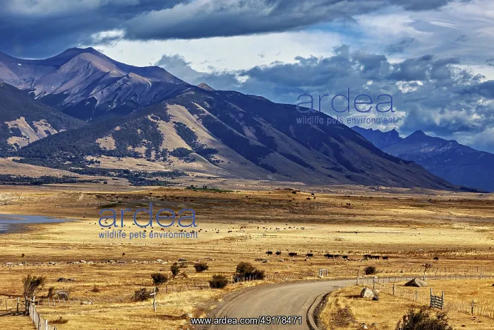 : Wide plains with a winding road and a majestic mountain range in the background : Wide plains with a winding road and a majestic mountain range in the background