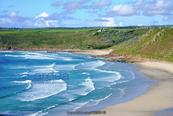 : Wide sandy beach with waves, Sennen Cove, Sennen : Wide sandy beach with waves, Sennen Cove, Sennen