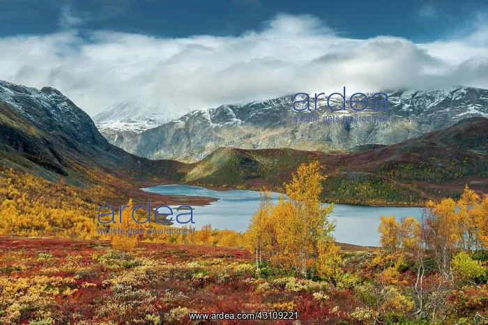 : Wide valley with lake, snow-covered mountains and : Wide valley with lake, snow-covered mountains and