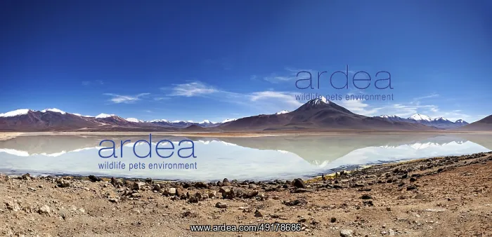 : Wide view of a volcano with a reflecting lake and rocky shore under a blue sky : Wide view of a volcano with a reflecting lake and rocky shore under a blue sky