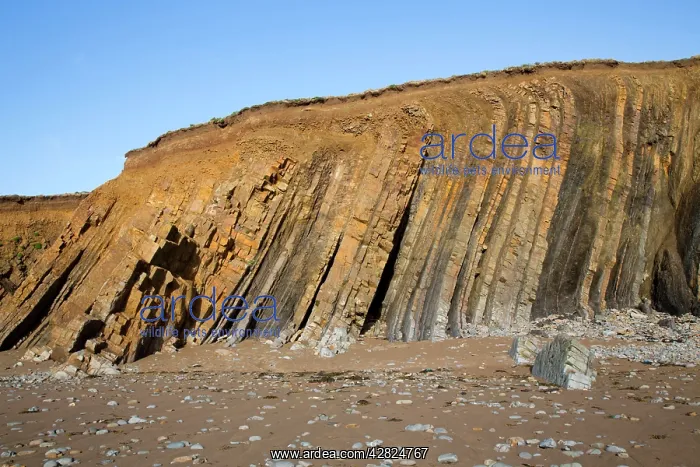 : Widemouth Bay - Cliffs : Widemouth Bay - Cliffs