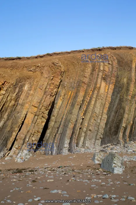 : Widemouth Bay - Cliffs : Widemouth Bay - Cliffs