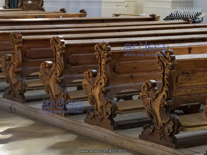 : Wieskirche (Pilgrimage Church of Wies) near : Wieskirche (Pilgrimage Church of Wies) near
