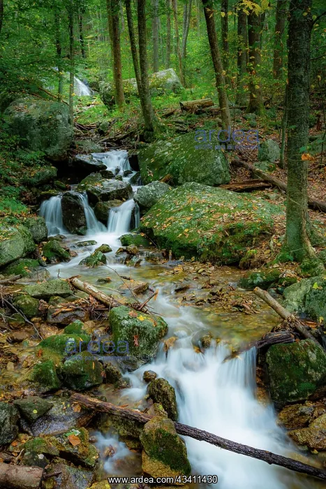 : Wigwam Falls, Virginia, Blue Ridge Parkway : Wigwam Falls, Virginia, Blue Ridge Parkway