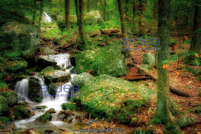 : Wigwam Falls, Virginia, Blue Ridge Parkway : Wigwam Falls, Virginia, Blue Ridge Parkway