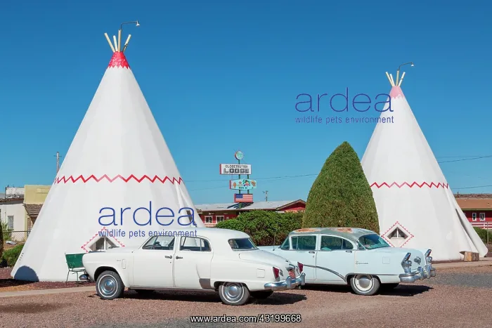 : Wigwam Motel, tepees with two vintage cars, Route : Wigwam Motel, tepees with two vintage cars, Route