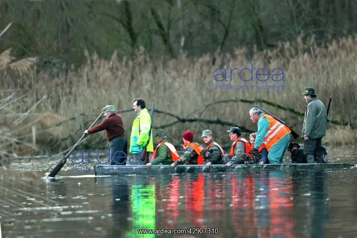 : Wild Boar Hunting - men in boat : Wild Boar Hunting - men in boat