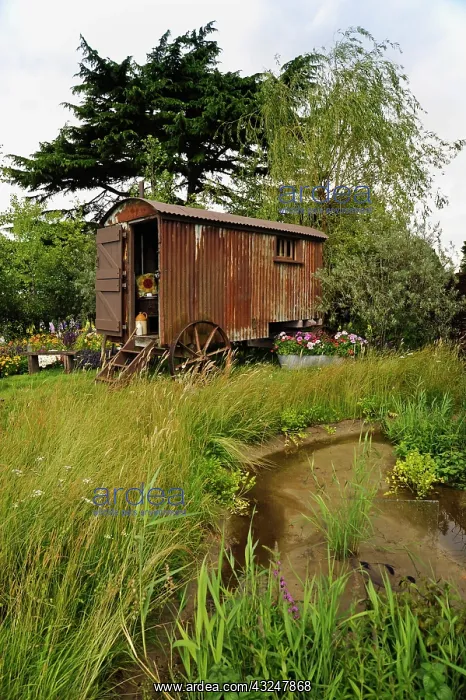 : Wild Garden : Wild Garden