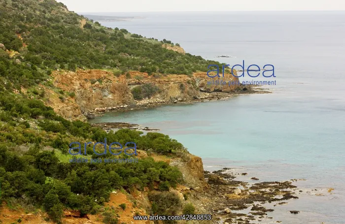 : Wild north coast of the Akamas Peninsula : Wild north coast of the Akamas Peninsula