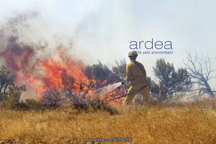 : Wildfire in Idaho : Wildfire in Idaho