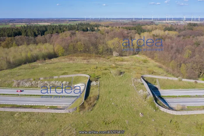 : Wildlife crossing + animal bridge spanning a highway : Wildlife crossing + animal bridge spanning a highway